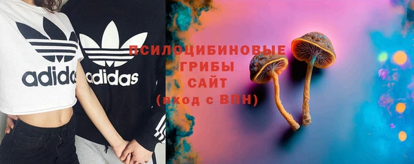 стаф Алексеевка