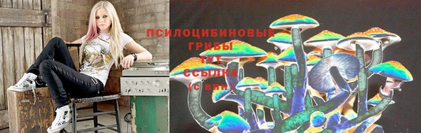 стаф Алексеевка
