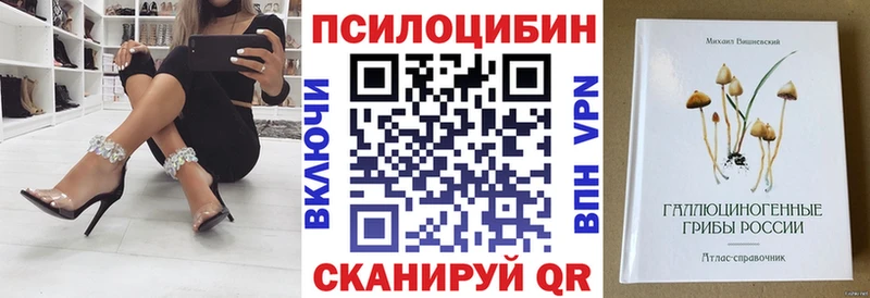 Галлюциногенные грибы Cubensis купить наркоту Билибино